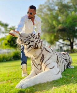 محمد رمضان يتعرض لهجوم نمر أثناء تصوير عشماوي ويتعرض للإصابة